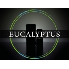 DEA Aroma EUCALIPTO (EUCALYPTUS) 10ml