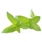 Flavourart Aroma Menta Piperita 10ml